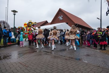 Bild 531 - Latuff 2017